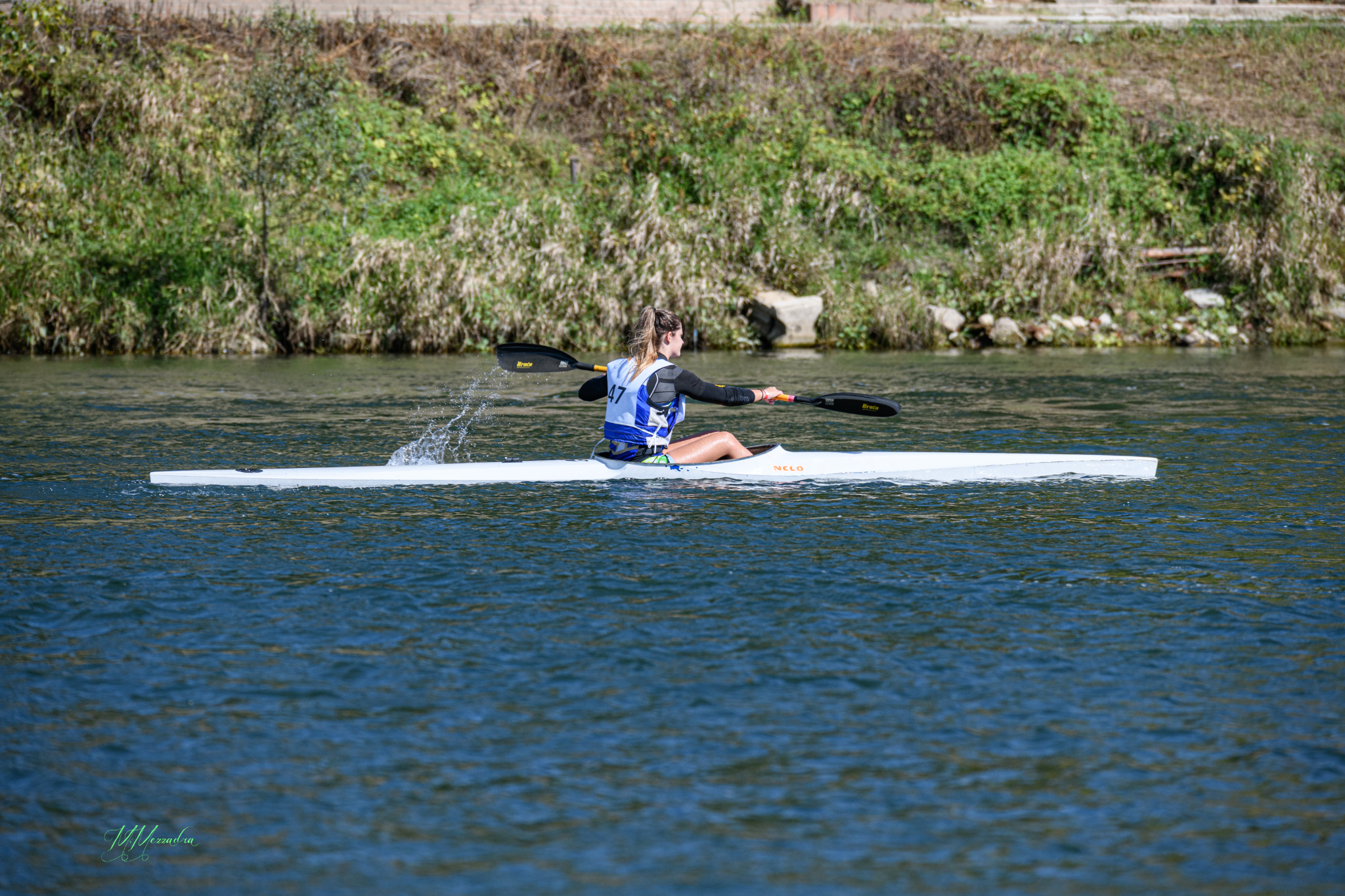 DSC 7461 (87)